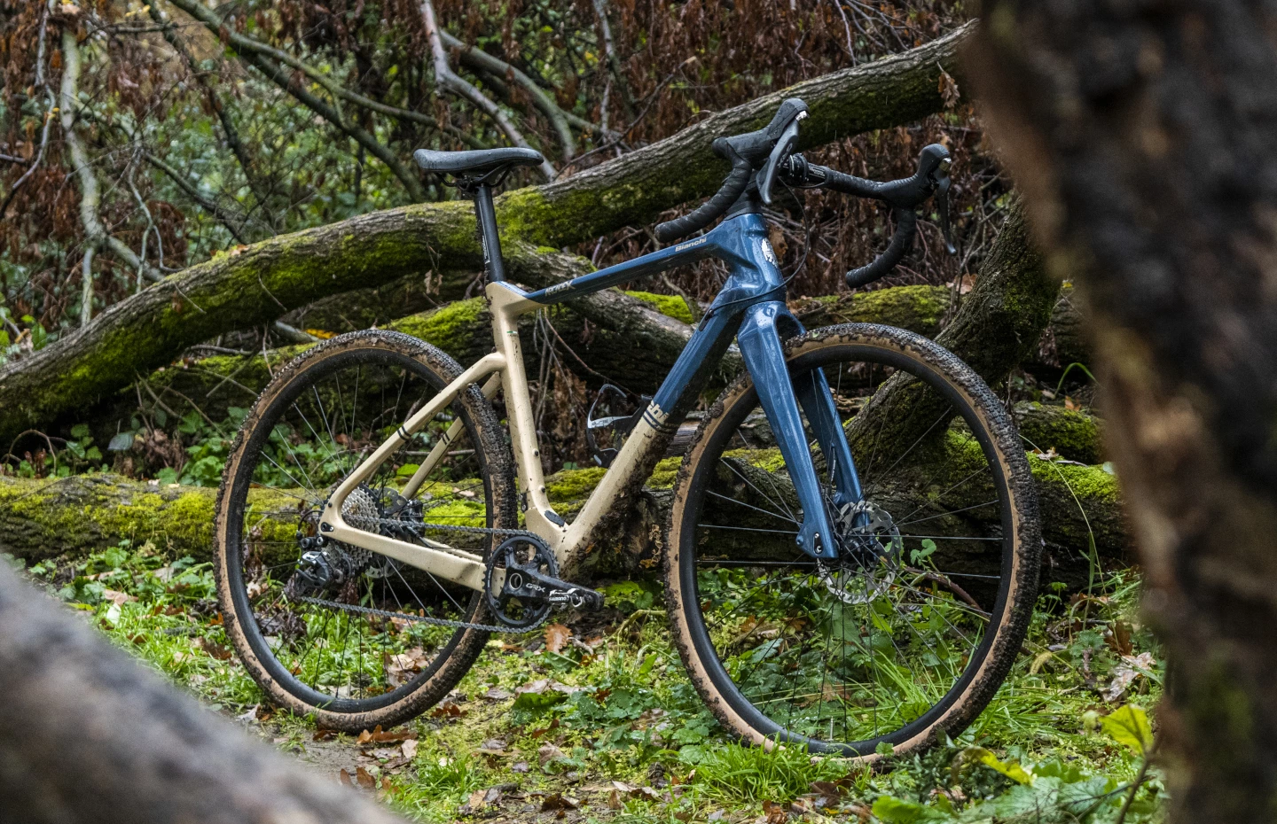 Bianchi Arcadex GRX600 â Image 5